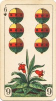 deck-000265-sche6