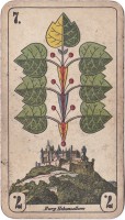 deck-000459-laub7