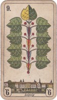 deck-000459-laub9