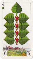 deck-000465-laub9